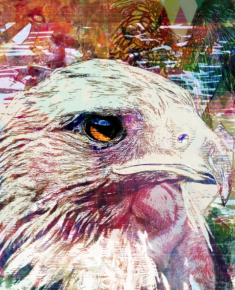 Eagle-Eye